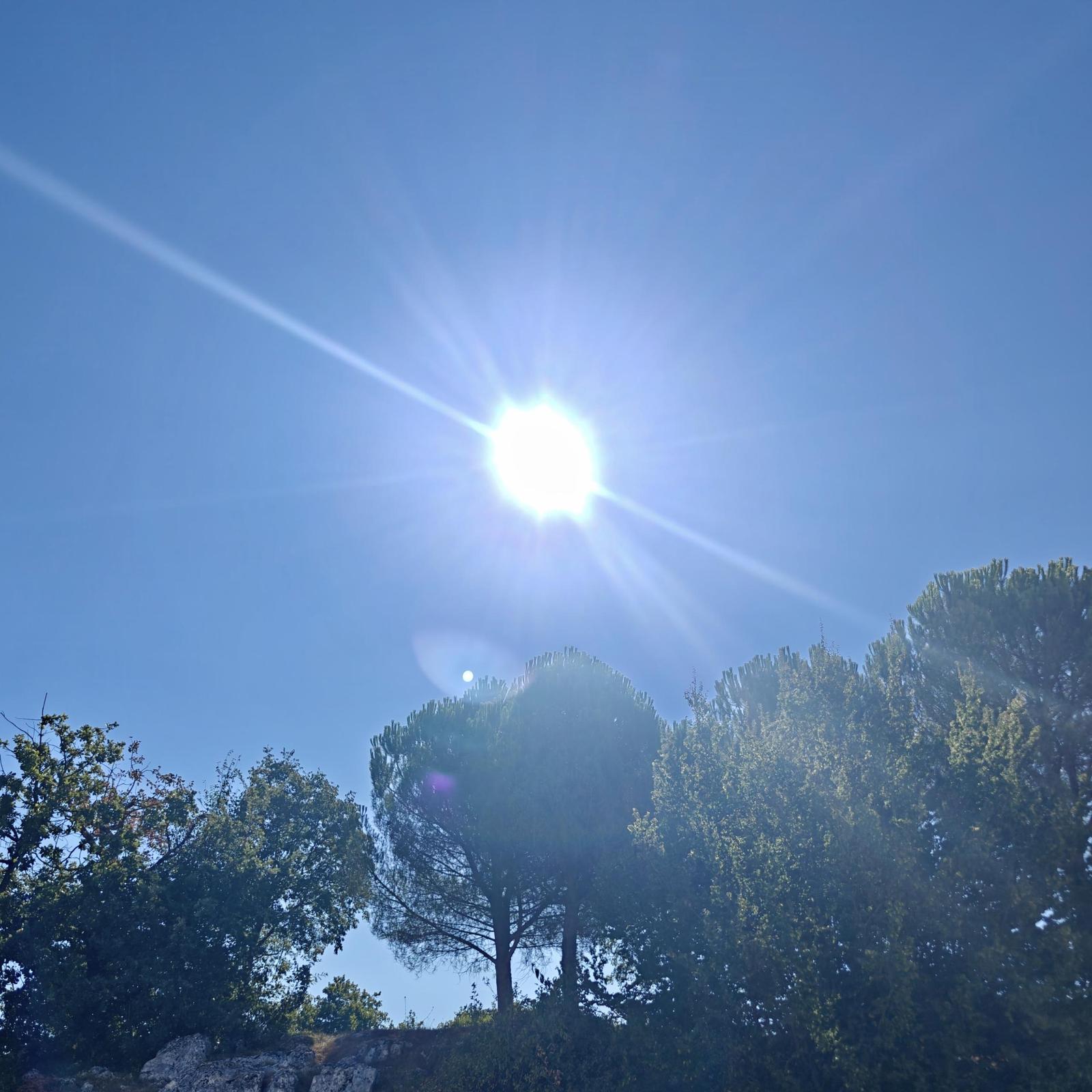 Sunce